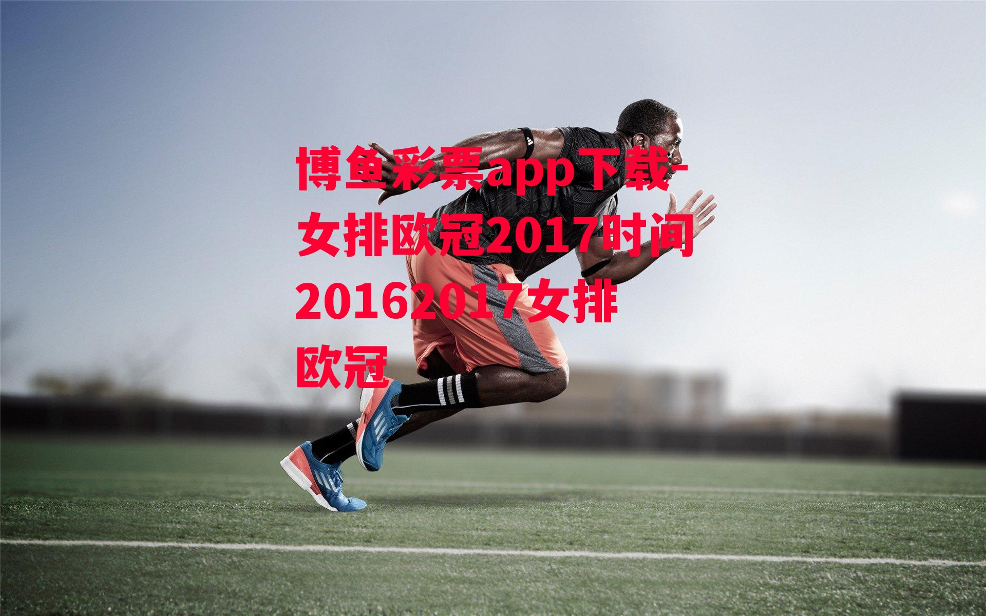 女排欧冠2017时间20162017女排欧冠